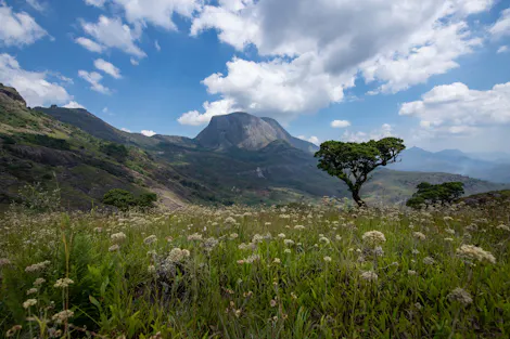 Mount Namuli as seen from the Murretxa plateau, which houses Namuli’s native forests, their unique ecosystem, and species that do not exist anywhere else in the world. Photo by Roshni Lodhia/Legado